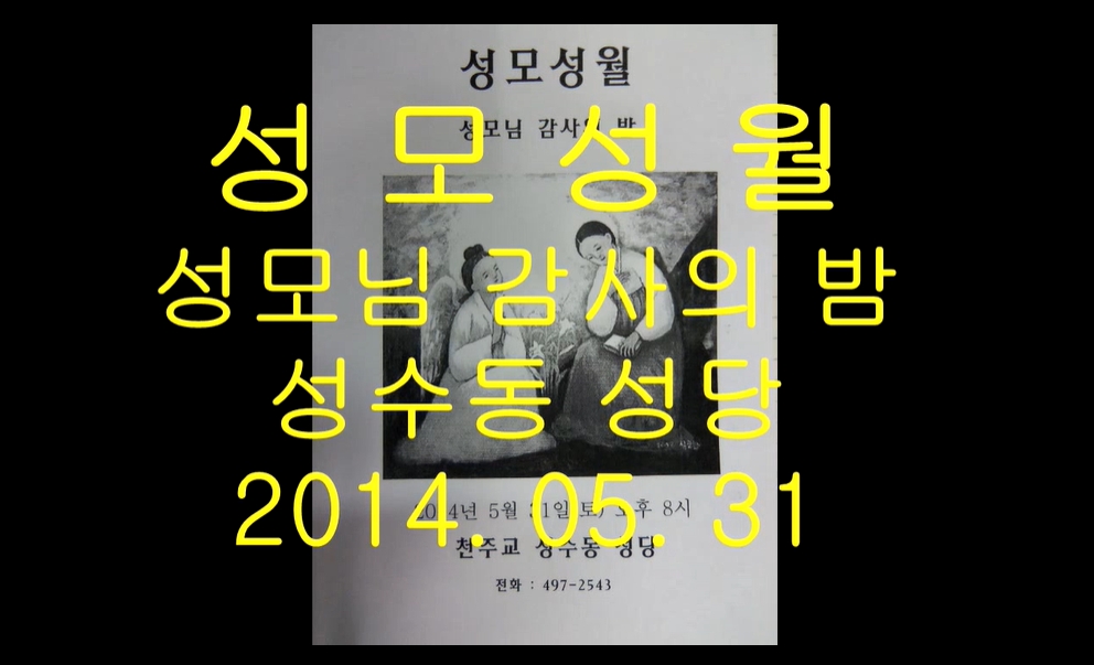 2014.05.31 성모의 밤